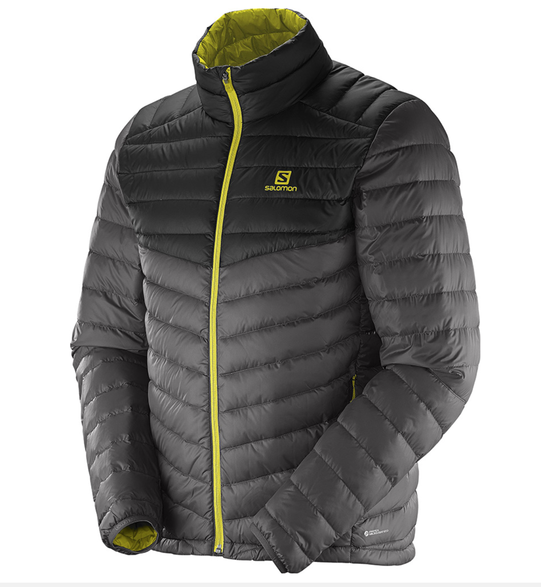 Salomon halo down jkt m Clearance