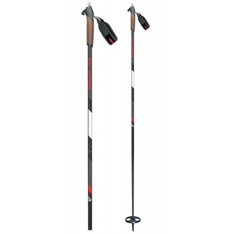 Backcountry paličky ALPINA XT PA3181