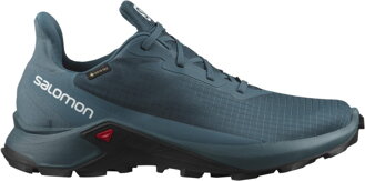 SALOMON ALPHACROSS 3 GTX L414467