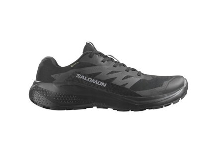 SALOMON ALPHAGLIDE GTX L47802100