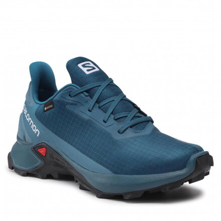 SALOMON Alphacross 3 GTX legion blue/mallard blue/night sky