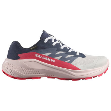 SALOMON ALPHAGLIDE GTX W L47802300