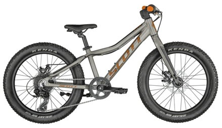 Scott Roxter 20"