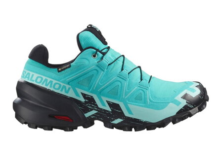 SALOMON SPEEDCROSS 6 GTX W L47765600