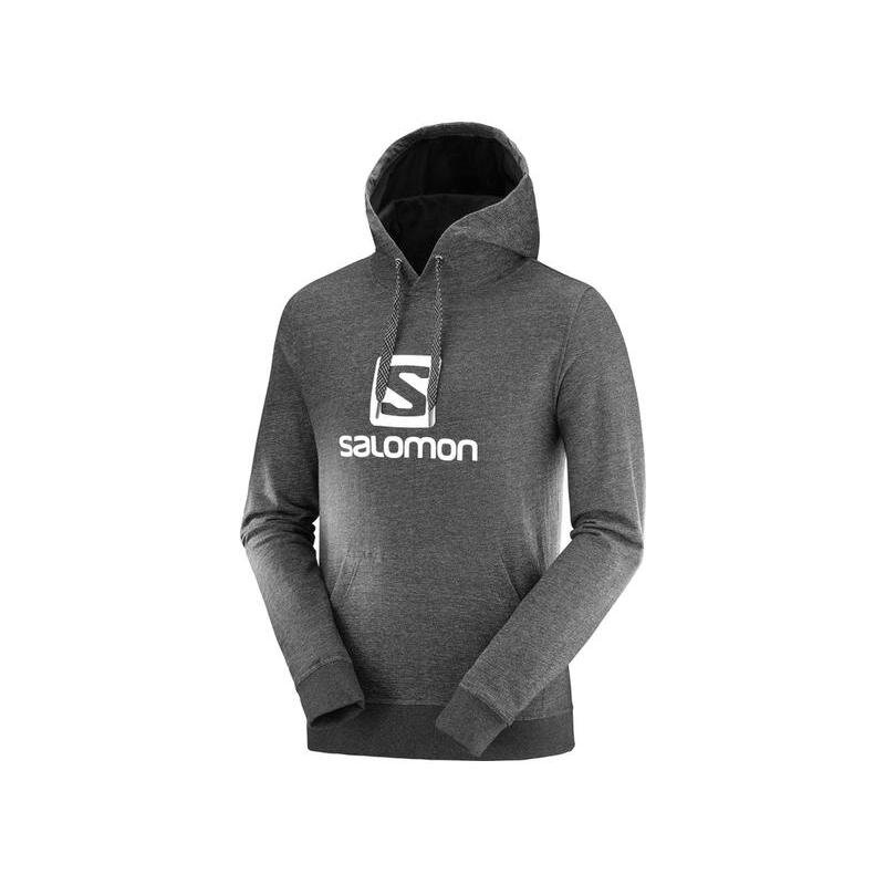 Pánska mikina SALOMON LOGO HOODIE M Pánska mikina SALOMON LOGO HOODIE M