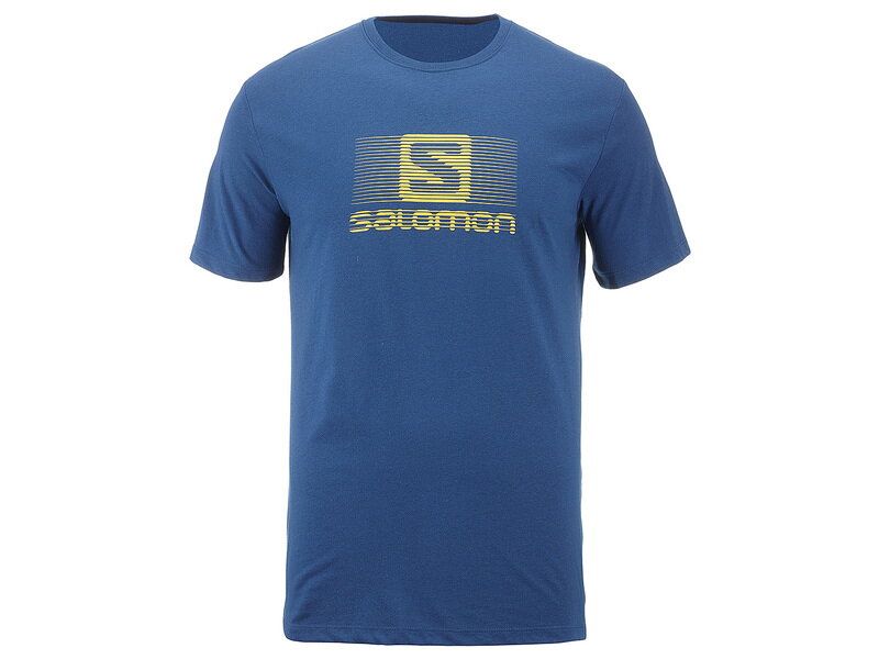 Pánske tričko SALOMON BLEND LOGO SS - L1052800