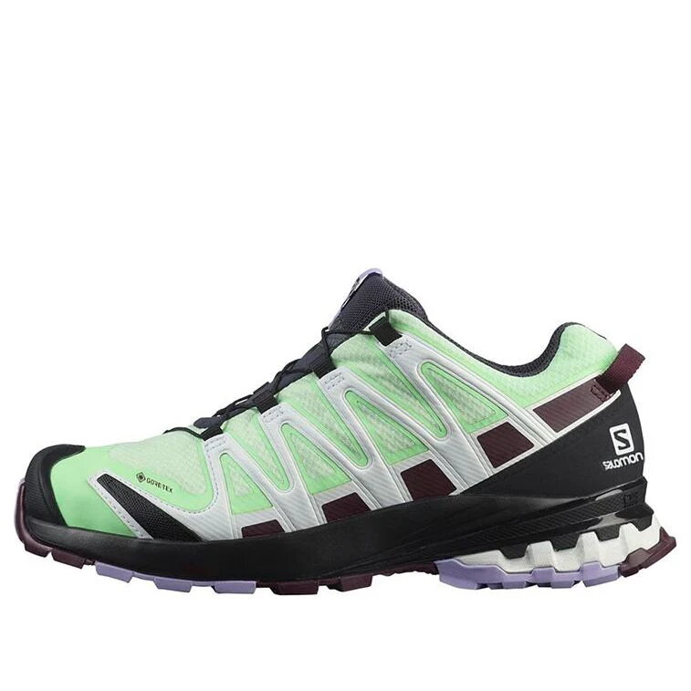 SALOMON XA PRO V8 GTX W L415636